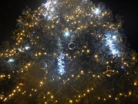 profesionální LED řetěz na vánoční strom HIGH-PROFI 35 LED teplá bílá studená bílá FLASH efekt 5m 